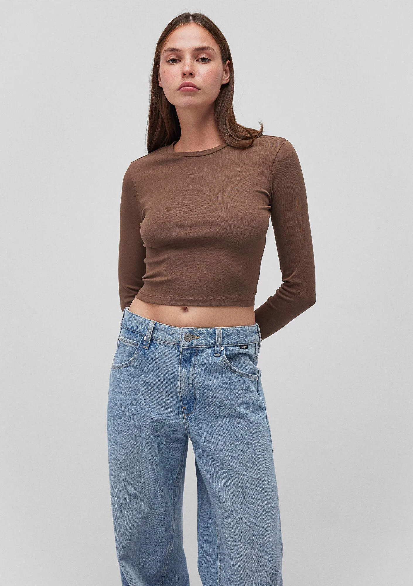 Brown Long Sleeve Crop Basic T-Shirt