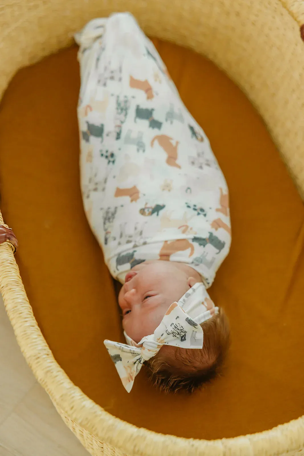 Copper Pearl - Swaddle Blanket - Rufus