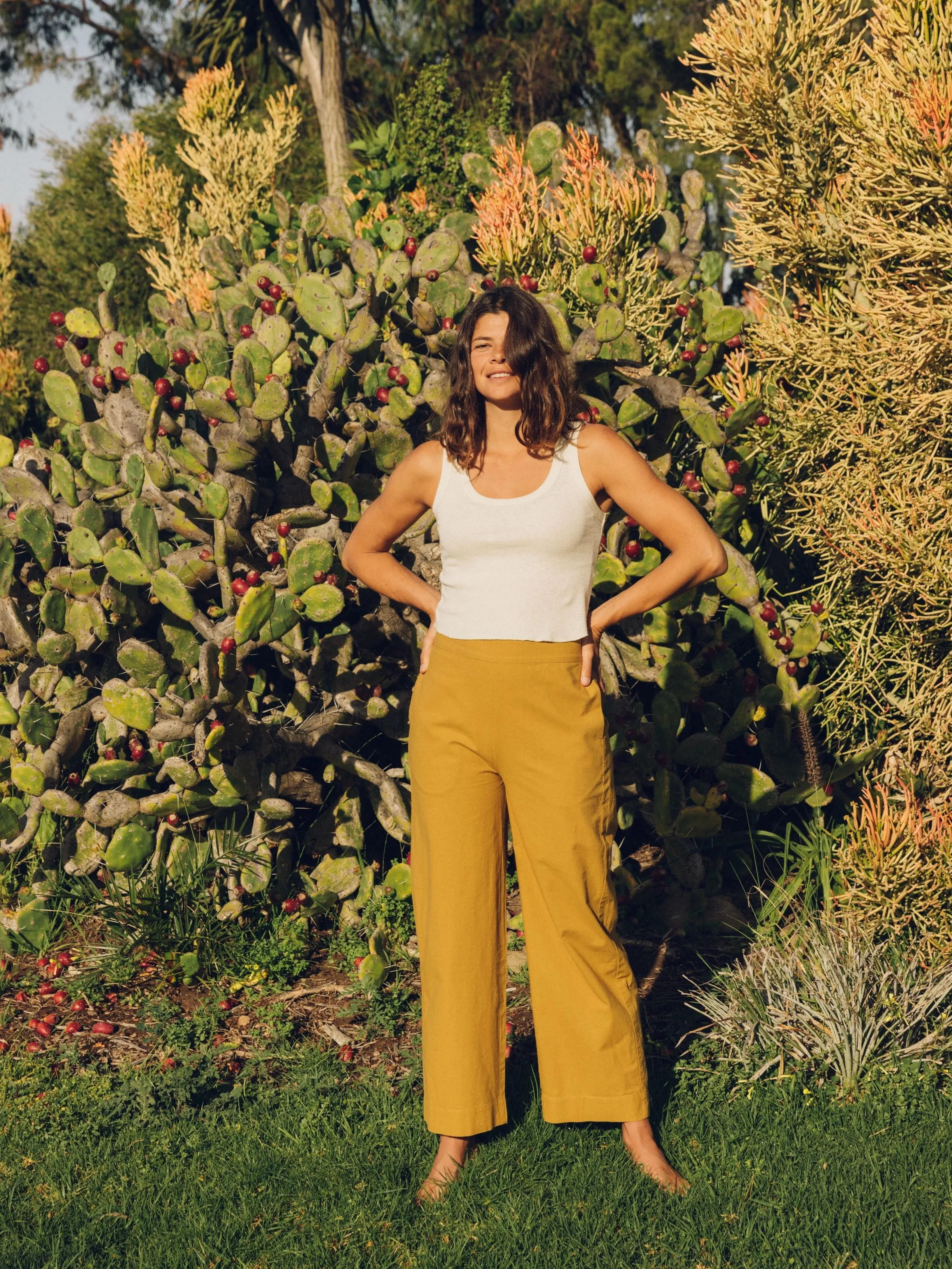 Coyote Pants