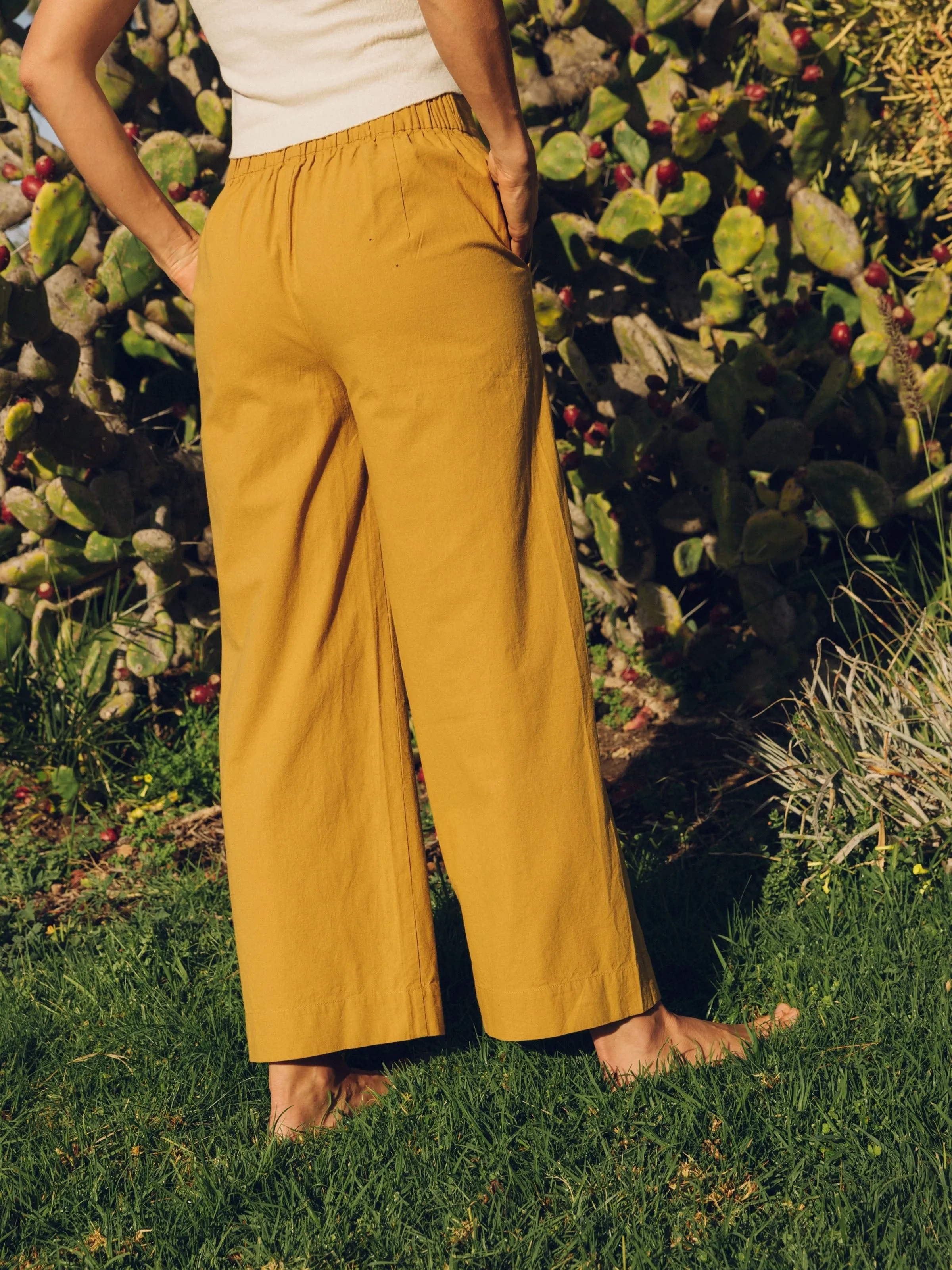 Coyote Pants