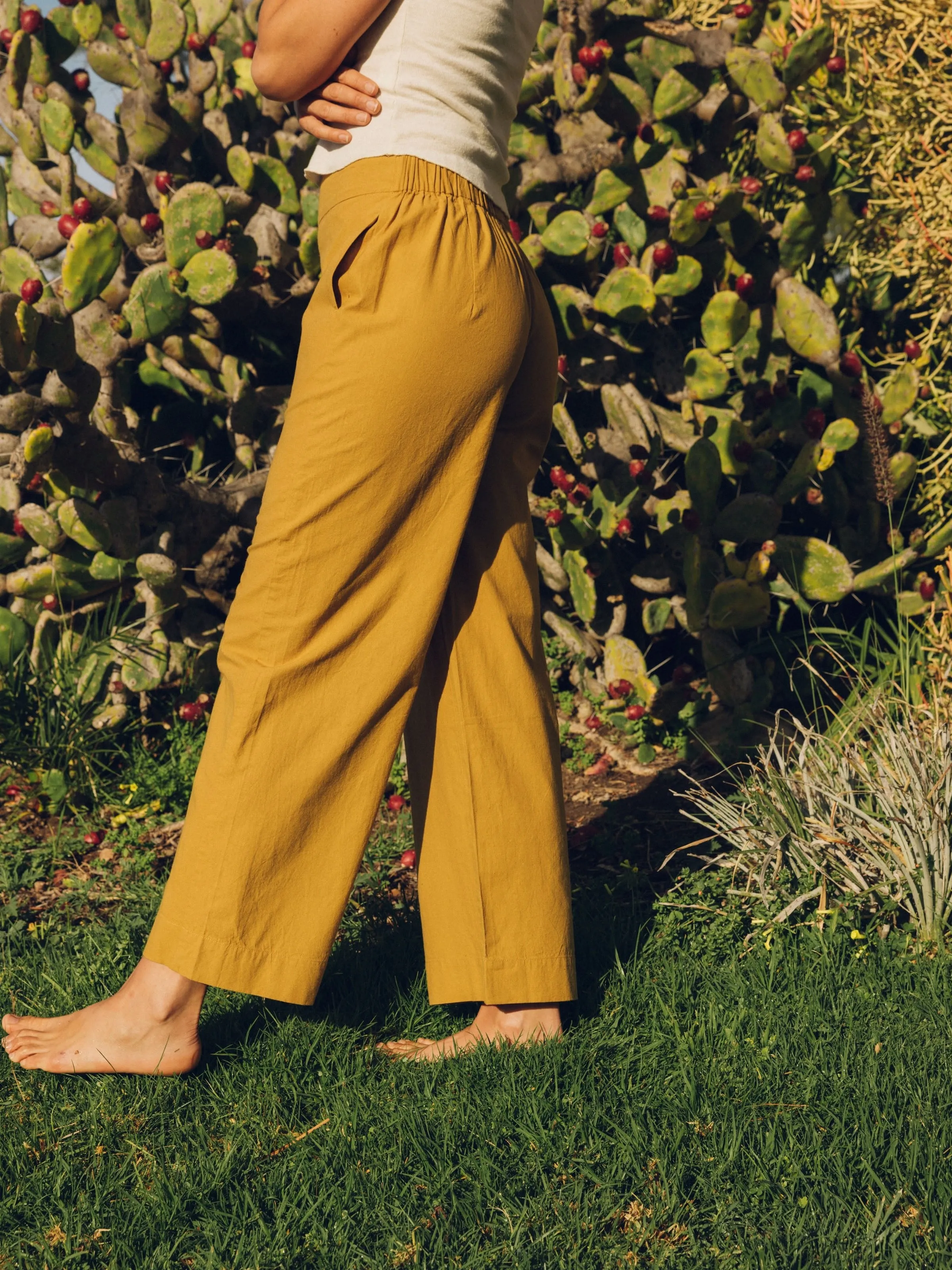 Coyote Pants