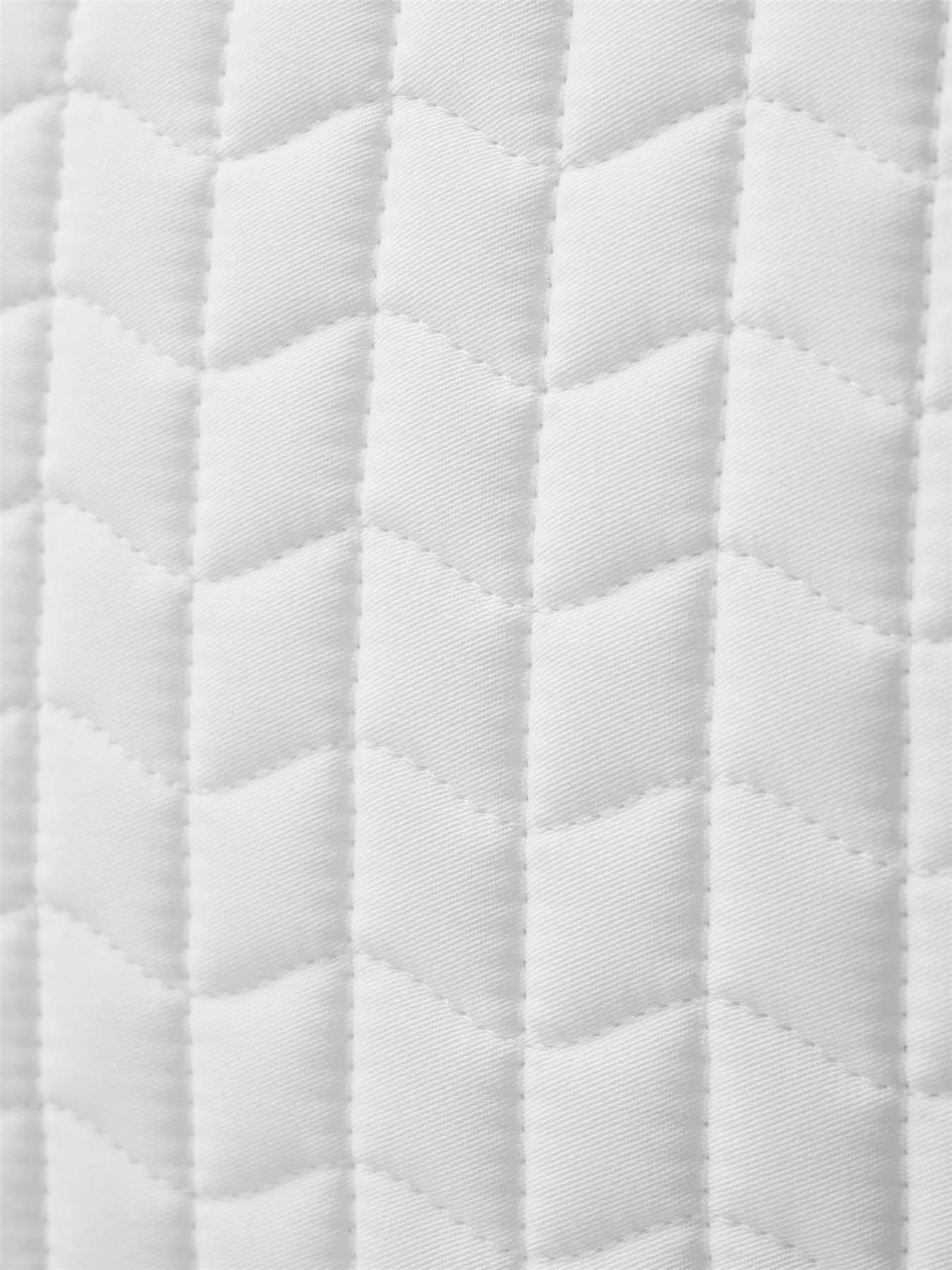 LeMieux ProSorb Plain 2 Pocket Close Contact Square
