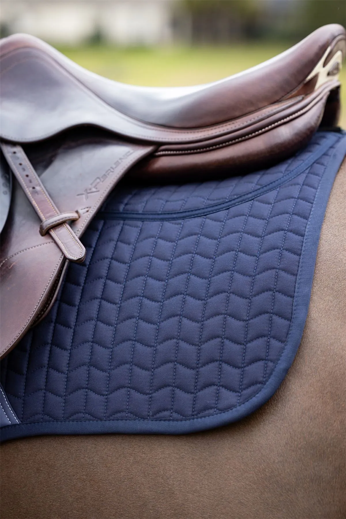 LeMieux ProSorb Plain 2 Pocket Close Contact Square