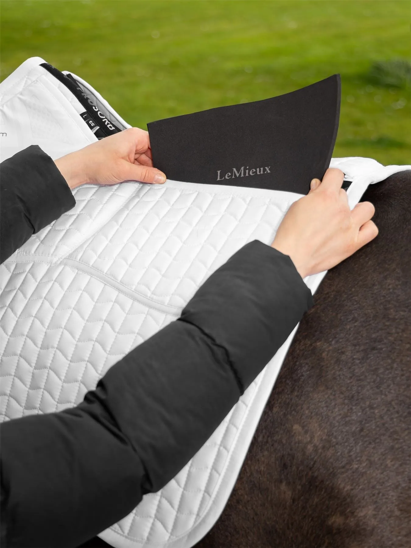 LeMieux ProSorb Plain 2 Pocket Close Contact Square