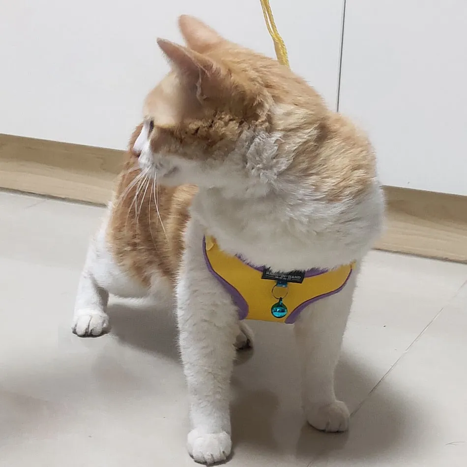 Pet Cat Harness Vest Leash Pet Adjustable Harness with Bell Walking Leash for Kitten Puppy Small Medium Dog Imitated Leather