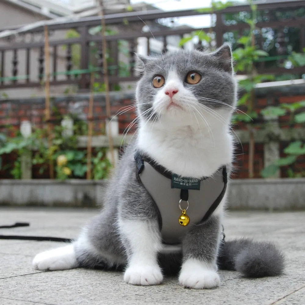 Pet Cat Harness Vest Leash Pet Adjustable Harness with Bell Walking Leash for Kitten Puppy Small Medium Dog Imitated Leather