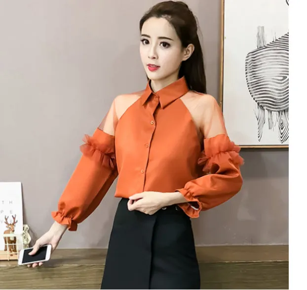 Puff Sleeve Transparent Loose Blouse Shirts