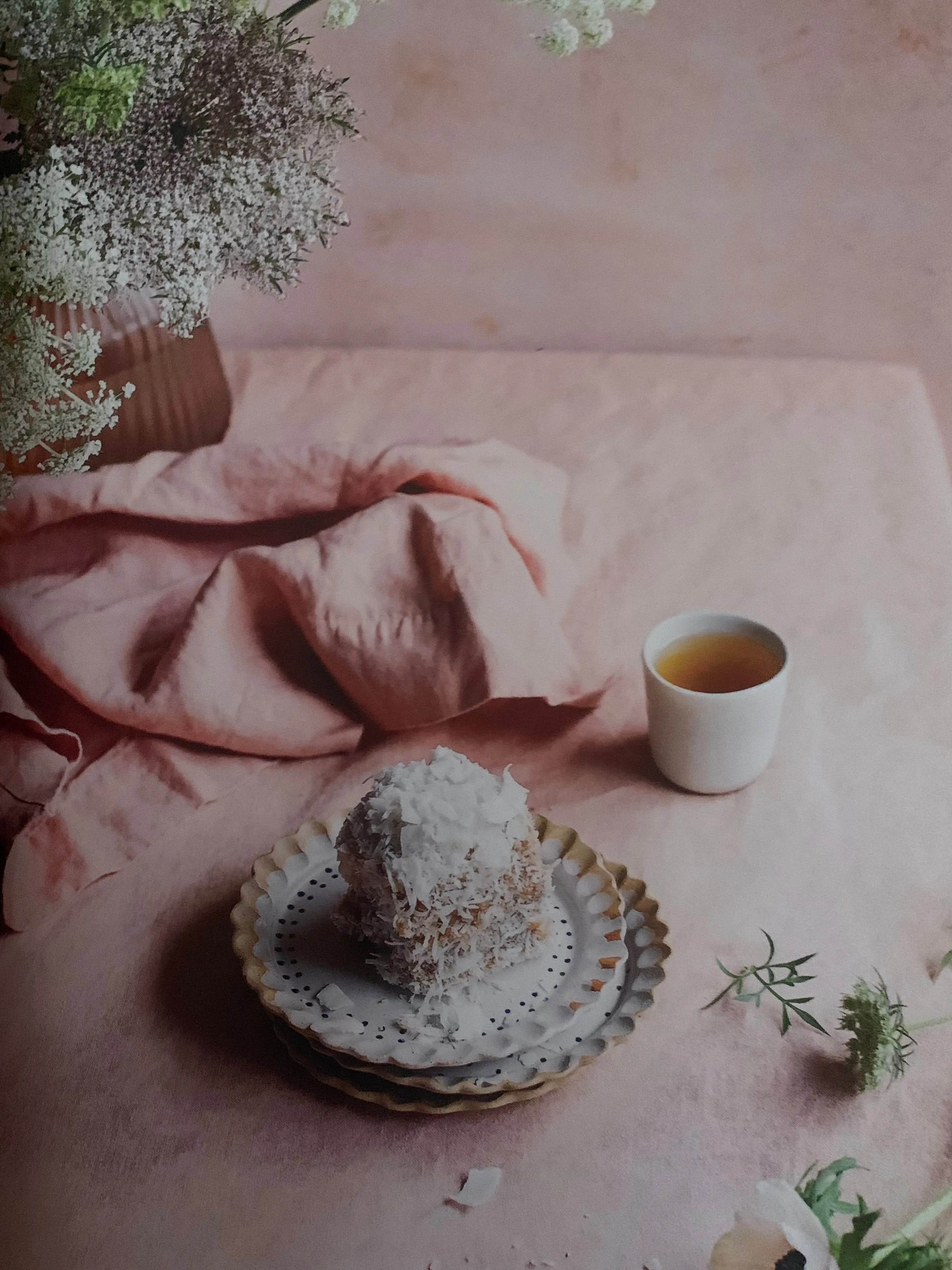 THE PLAIN CAKE APPRECIATION SOCIETY